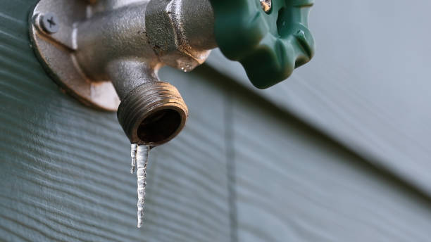 Best Shower Repair Services  in Absecon, NJ